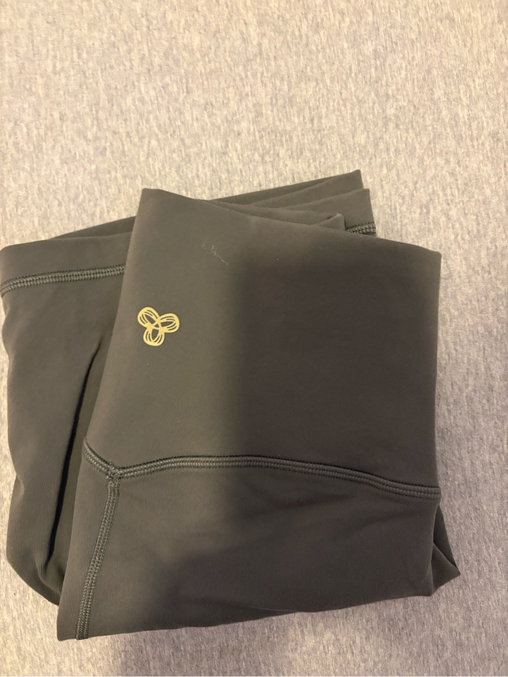 Aritzia Biker Shorts with Gold Logo Accent